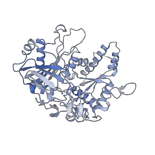 36986_8k9g_E_v1-1
Cryo-EM structure of Crt-SPARTA-gRNA-tDNA dimer (conformation-1)