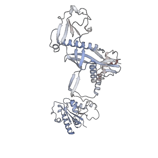 36986_8k9g_F_v1-1
Cryo-EM structure of Crt-SPARTA-gRNA-tDNA dimer (conformation-1)