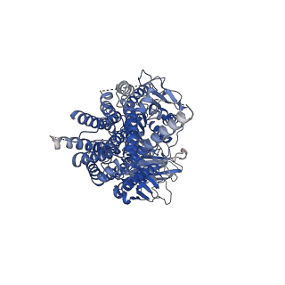 36995_8k9q_A_v1-1
Cryo-EM structure of the GPI inositol-deacylase (PGAP1/Bst1) from Chaetomium thermophilum