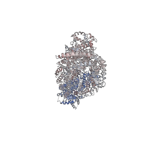 9950_6k9l_B_v1-0
4.27 Angstrom resolution cryo-EM structure of human dimeric ATM kinase