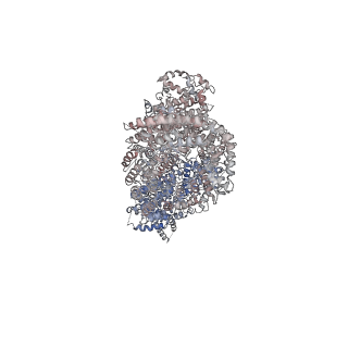 9950_6k9l_B_v1-1
4.27 Angstrom resolution cryo-EM structure of human dimeric ATM kinase