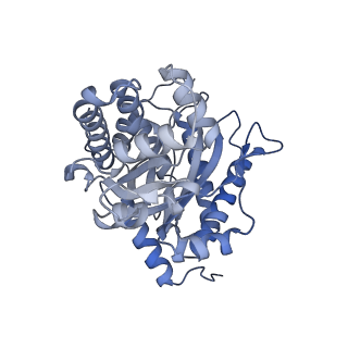22756_7ka2_A_v1-0
Aldolase, rabbit muscle (beam-tilt refinement x2)