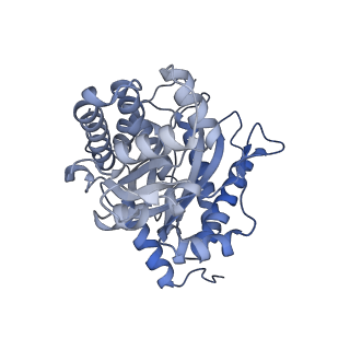 22756_7ka2_A_v1-1
Aldolase, rabbit muscle (beam-tilt refinement x2)