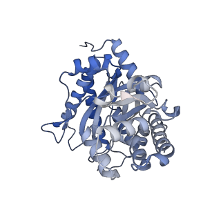 22756_7ka2_C_v1-0
Aldolase, rabbit muscle (beam-tilt refinement x2)