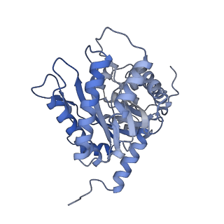 22756_7ka2_D_v1-0
Aldolase, rabbit muscle (beam-tilt refinement x2)