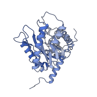 22756_7ka2_D_v1-1
Aldolase, rabbit muscle (beam-tilt refinement x2)