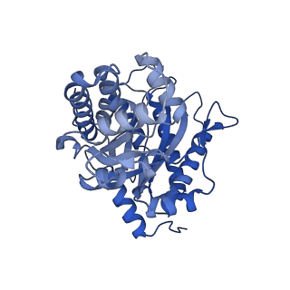 22757_7ka3_A_v1-0
Aldolase, rabbit muscle (beam-tilt refinement x3)