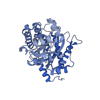 22757_7ka3_A_v1-1
Aldolase, rabbit muscle (beam-tilt refinement x3)