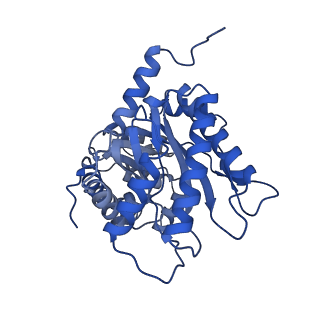 22757_7ka3_B_v1-0
Aldolase, rabbit muscle (beam-tilt refinement x3)