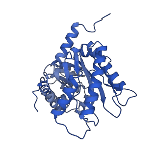 22757_7ka3_B_v1-1
Aldolase, rabbit muscle (beam-tilt refinement x3)