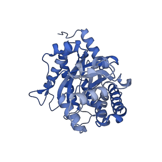 22757_7ka3_C_v1-0
Aldolase, rabbit muscle (beam-tilt refinement x3)
