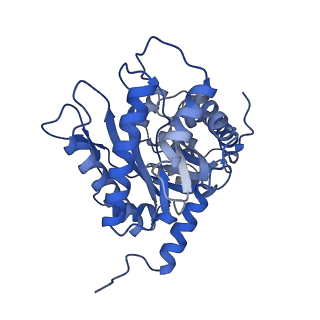 22757_7ka3_D_v1-0
Aldolase, rabbit muscle (beam-tilt refinement x3)