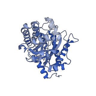 22758_7ka4_A_v1-0
Aldolase, rabbit muscle (beam-tilt refinement x4)