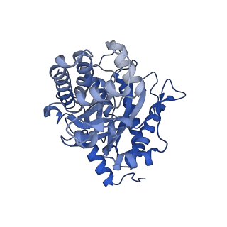 22758_7ka4_A_v1-1
Aldolase, rabbit muscle (beam-tilt refinement x4)