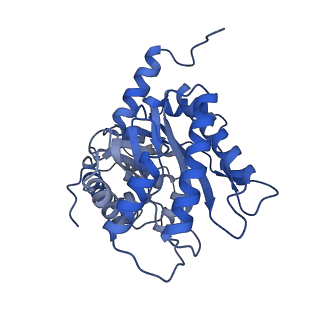 22758_7ka4_B_v1-0
Aldolase, rabbit muscle (beam-tilt refinement x4)