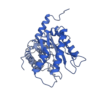 22758_7ka4_B_v1-1
Aldolase, rabbit muscle (beam-tilt refinement x4)