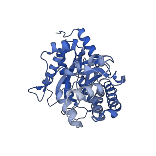 22758_7ka4_C_v1-0
Aldolase, rabbit muscle (beam-tilt refinement x4)