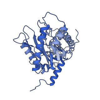 22758_7ka4_D_v1-0
Aldolase, rabbit muscle (beam-tilt refinement x4)