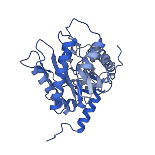 22758_7ka4_D_v1-1
Aldolase, rabbit muscle (beam-tilt refinement x4)