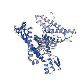 22770_7kah_A_v1-2
Cryo-EM structure of the Sec complex from S. cerevisiae, wild-type, class without Sec62