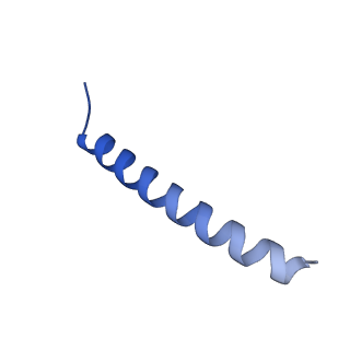 22770_7kah_B_v1-2
Cryo-EM structure of the Sec complex from S. cerevisiae, wild-type, class without Sec62