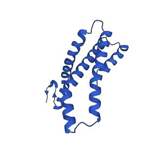 22770_7kah_E_v1-1
Cryo-EM structure of the Sec complex from S. cerevisiae, wild-type, class without Sec62