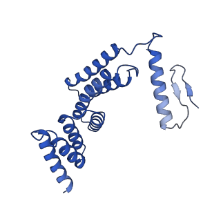 22770_7kah_F_v1-1
Cryo-EM structure of the Sec complex from S. cerevisiae, wild-type, class without Sec62