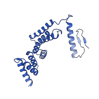 22770_7kah_F_v1-2
Cryo-EM structure of the Sec complex from S. cerevisiae, wild-type, class without Sec62