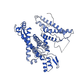 22771_7kai_A_v1-2
Cryo-EM structure of the Sec complex from S. cerevisiae, wild-type, class with Sec62, conformation 1 (C1)