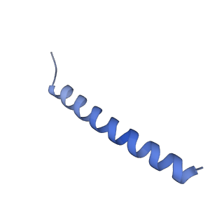 22771_7kai_B_v1-3
Cryo-EM structure of the Sec complex from S. cerevisiae, wild-type, class with Sec62, conformation 1 (C1)