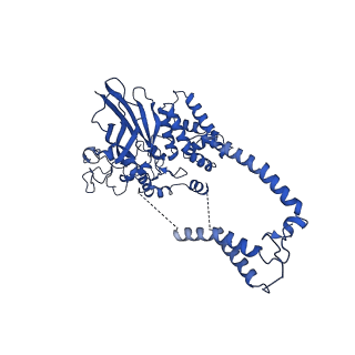 22771_7kai_D_v1-3
Cryo-EM structure of the Sec complex from S. cerevisiae, wild-type, class with Sec62, conformation 1 (C1)