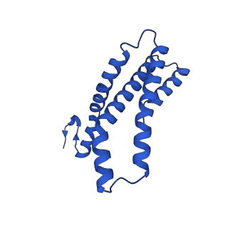 22771_7kai_E_v1-2
Cryo-EM structure of the Sec complex from S. cerevisiae, wild-type, class with Sec62, conformation 1 (C1)