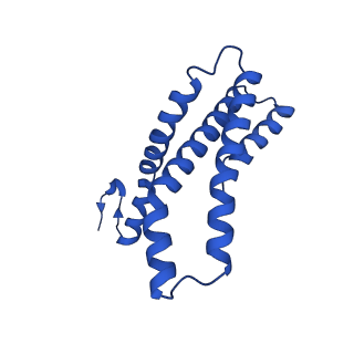 22771_7kai_E_v1-3
Cryo-EM structure of the Sec complex from S. cerevisiae, wild-type, class with Sec62, conformation 1 (C1)