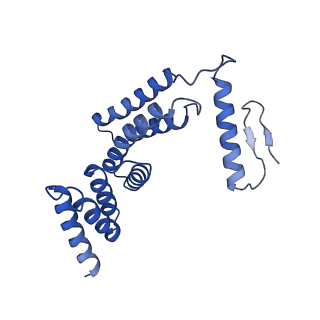 22771_7kai_F_v1-2
Cryo-EM structure of the Sec complex from S. cerevisiae, wild-type, class with Sec62, conformation 1 (C1)