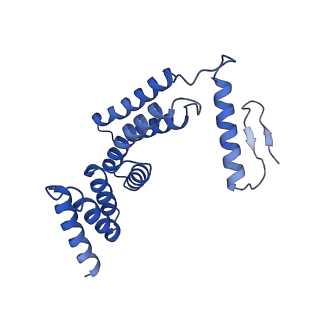 22771_7kai_F_v1-3
Cryo-EM structure of the Sec complex from S. cerevisiae, wild-type, class with Sec62, conformation 1 (C1)