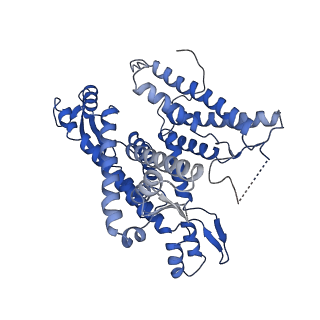 22772_7kaj_A_v1-2
Cryo-EM structure of the Sec complex from S. cerevisiae, wild-type, class with Sec62, conformation 2 (C2)