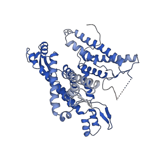 22772_7kaj_A_v1-3
Cryo-EM structure of the Sec complex from S. cerevisiae, wild-type, class with Sec62, conformation 2 (C2)