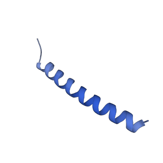 22772_7kaj_B_v1-3
Cryo-EM structure of the Sec complex from S. cerevisiae, wild-type, class with Sec62, conformation 2 (C2)