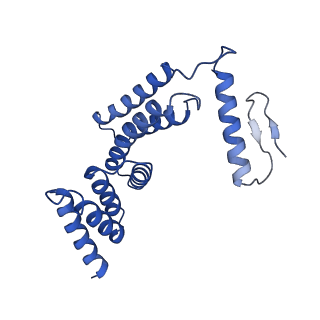 22772_7kaj_F_v1-3
Cryo-EM structure of the Sec complex from S. cerevisiae, wild-type, class with Sec62, conformation 2 (C2)