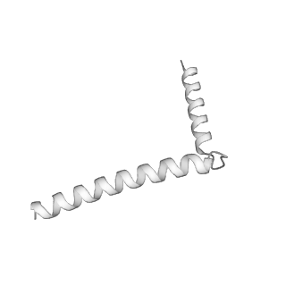 22772_7kaj_G_v1-3
Cryo-EM structure of the Sec complex from S. cerevisiae, wild-type, class with Sec62, conformation 2 (C2)