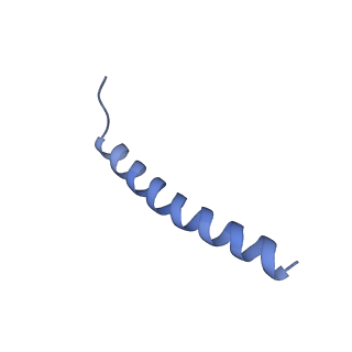 22773_7kak_B_v1-2
Cryo-EM structure of the Sec complex from T. lanuginosus, wild-type, class without Sec62