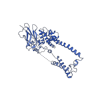 22773_7kak_D_v1-1
Cryo-EM structure of the Sec complex from T. lanuginosus, wild-type, class without Sec62