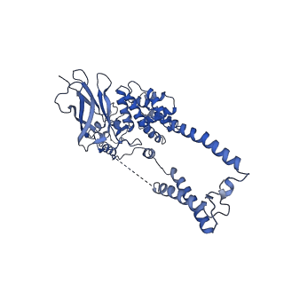 22773_7kak_D_v1-2
Cryo-EM structure of the Sec complex from T. lanuginosus, wild-type, class without Sec62