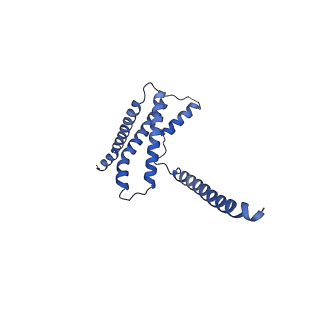 22773_7kak_E_v1-1
Cryo-EM structure of the Sec complex from T. lanuginosus, wild-type, class without Sec62