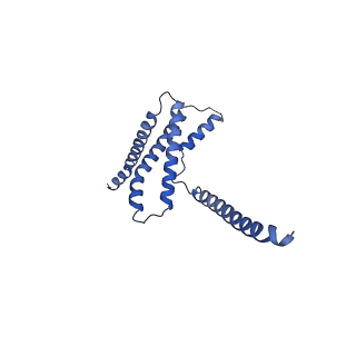 22773_7kak_E_v1-2
Cryo-EM structure of the Sec complex from T. lanuginosus, wild-type, class without Sec62