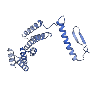 22773_7kak_F_v1-1
Cryo-EM structure of the Sec complex from T. lanuginosus, wild-type, class without Sec62