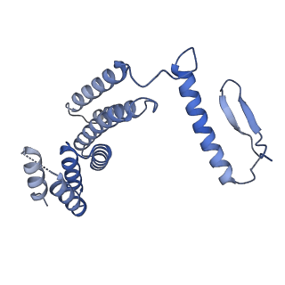 22773_7kak_F_v1-2
Cryo-EM structure of the Sec complex from T. lanuginosus, wild-type, class without Sec62