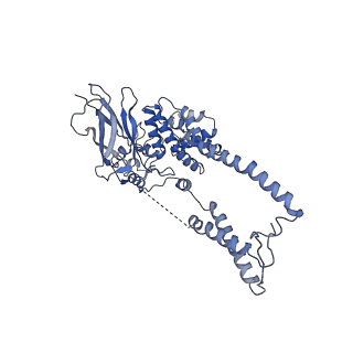 22774_7kal_D_v1-2
Cryo-EM structure of the Sec complex from T. lanuginosus, wild-type, class with Sec62, plug-open conformation