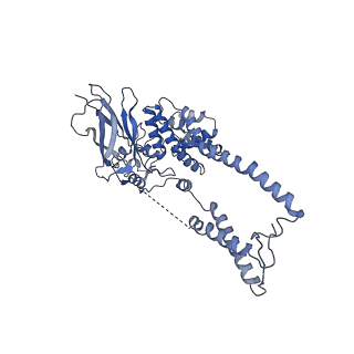 22774_7kal_D_v1-3
Cryo-EM structure of the Sec complex from T. lanuginosus, wild-type, class with Sec62, plug-open conformation