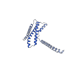 22774_7kal_E_v1-2
Cryo-EM structure of the Sec complex from T. lanuginosus, wild-type, class with Sec62, plug-open conformation